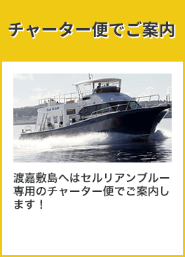 慶良間諸島へ定期船便でご案内