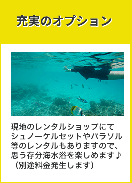 シュノーケルなど充実のオプション！