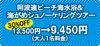 阿波連ビーチ海水浴&無人島シュノーケリング