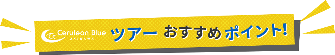 ツアーおすすめポイント！