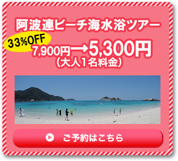 阿波連ビーチ海水浴ツアー