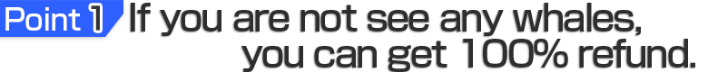 Point 1, if you are not see any whales, you can get 100% refund.