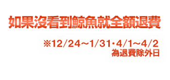 如果沒看到鯨魚就全額退費 鯨魚穫然率98%