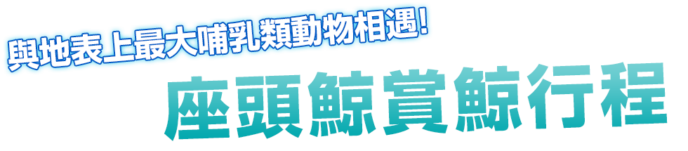 與地表上最大哺乳類動物相遇!座頭鯨賞鯨行程