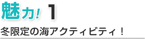 ホエールウォッチングの魅力１