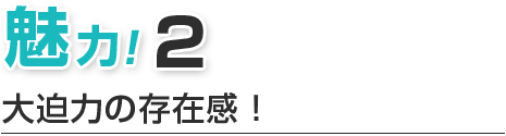 ホエールウォッチングの魅力２