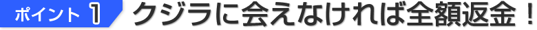 ポイント１、クジラに出会えなければ全額返金